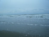 １１月２４九十九里浜の海