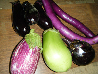 7月29茄子セット